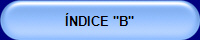 ÍNDICE "B"