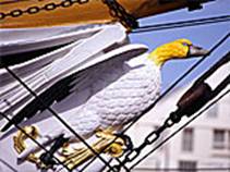 The front of the HMS Gannet