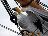 Front of the Gannet