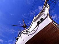 Picture taken from underneath the Gannet