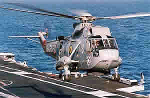 SEAKING