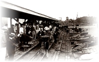 Una instancia en el Mercado de Frutos, alrededor de 1900.width=