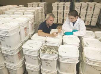 Los miembros del Odysssey examinan el tesoro hallado en las profundidades del mar