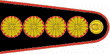 Teniente General.PNG