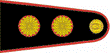 General de Brigada EA.PNG