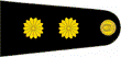 Teniente CoronelEA.PNG