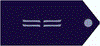 FAA-SuboficialMayor.PNG