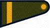 SuboficialPrincipalEA.PNG