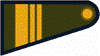 SargentoAyudanteEA.PNG