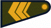 SargentoEA.PNG